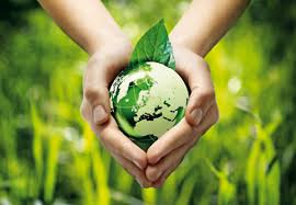 Care for Earth